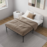 Zeta 16 Inch Metal Platform Bed Frame