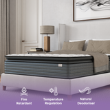 Isabella 14 Inches Hybrid Pillow Top Mattress